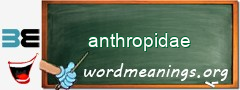 WordMeaning blackboard for anthropidae